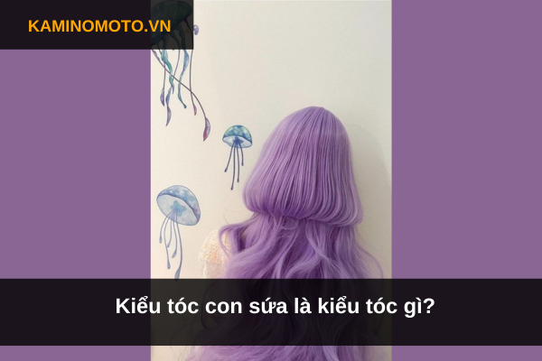 Kiểu tóc con sứa là kiểu tóc gì?