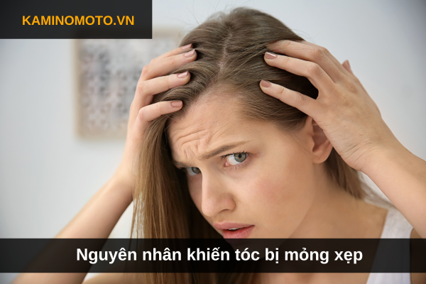 Nguyên nhân khiến tóc bị mỏng xẹp