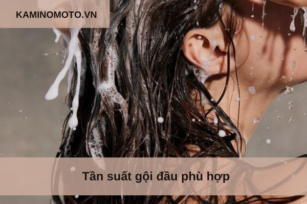 Tần suất gội đầu phù hợp