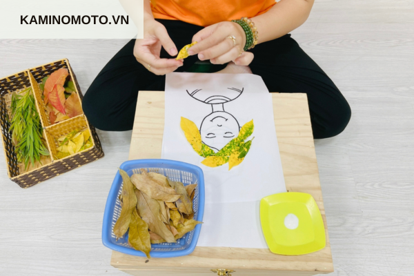 Không gian tổ chức