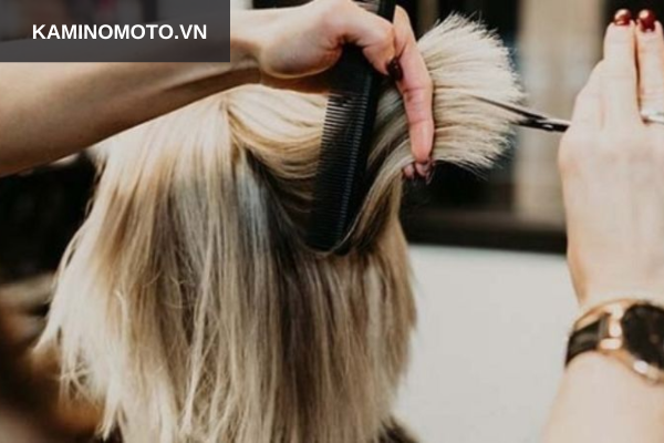 Nghề nghiệp hớt tóc nghệ thuật