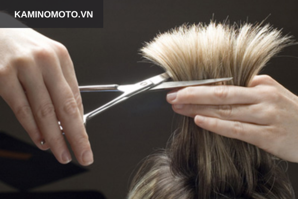 Vai trò của thợ hớt tóc nghệ thuật